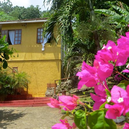 La Familia Guest House And Natural Farm Πορτ Αντόνιο Εξωτερικό φωτογραφία