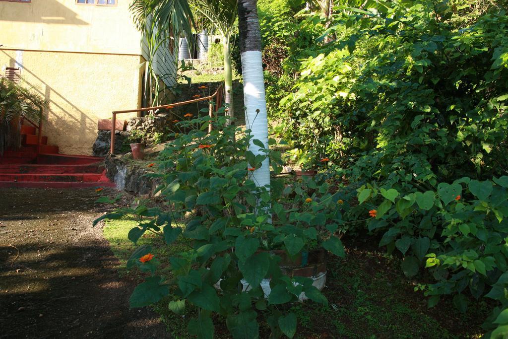 La Familia Guest House And Natural Farm Πορτ Αντόνιο Εξωτερικό φωτογραφία