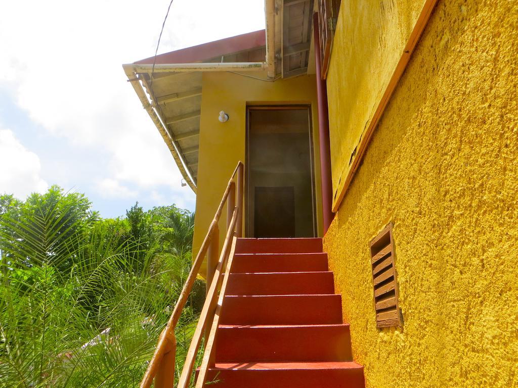 La Familia Guest House And Natural Farm Πορτ Αντόνιο Εξωτερικό φωτογραφία