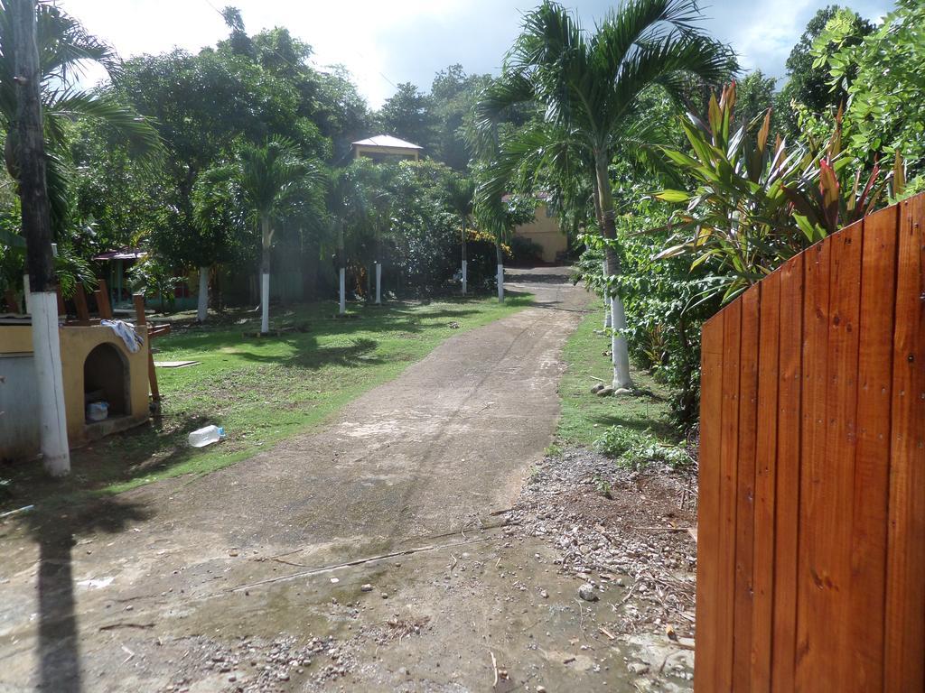 La Familia Guest House And Natural Farm Πορτ Αντόνιο Εξωτερικό φωτογραφία