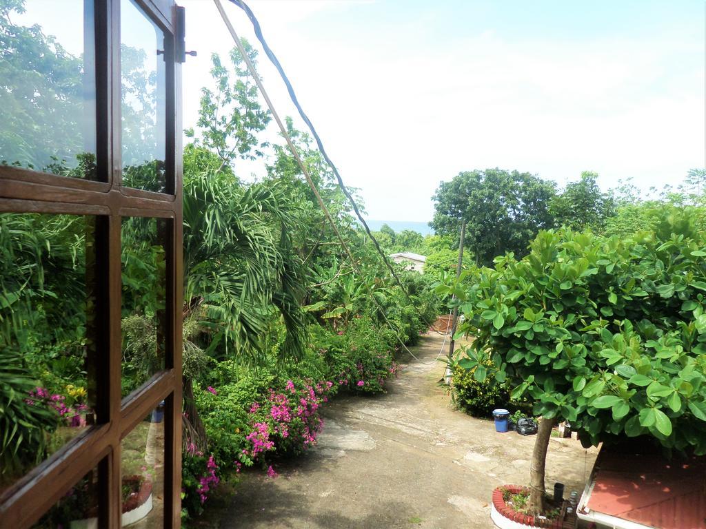 La Familia Guest House And Natural Farm Πορτ Αντόνιο Εξωτερικό φωτογραφία
