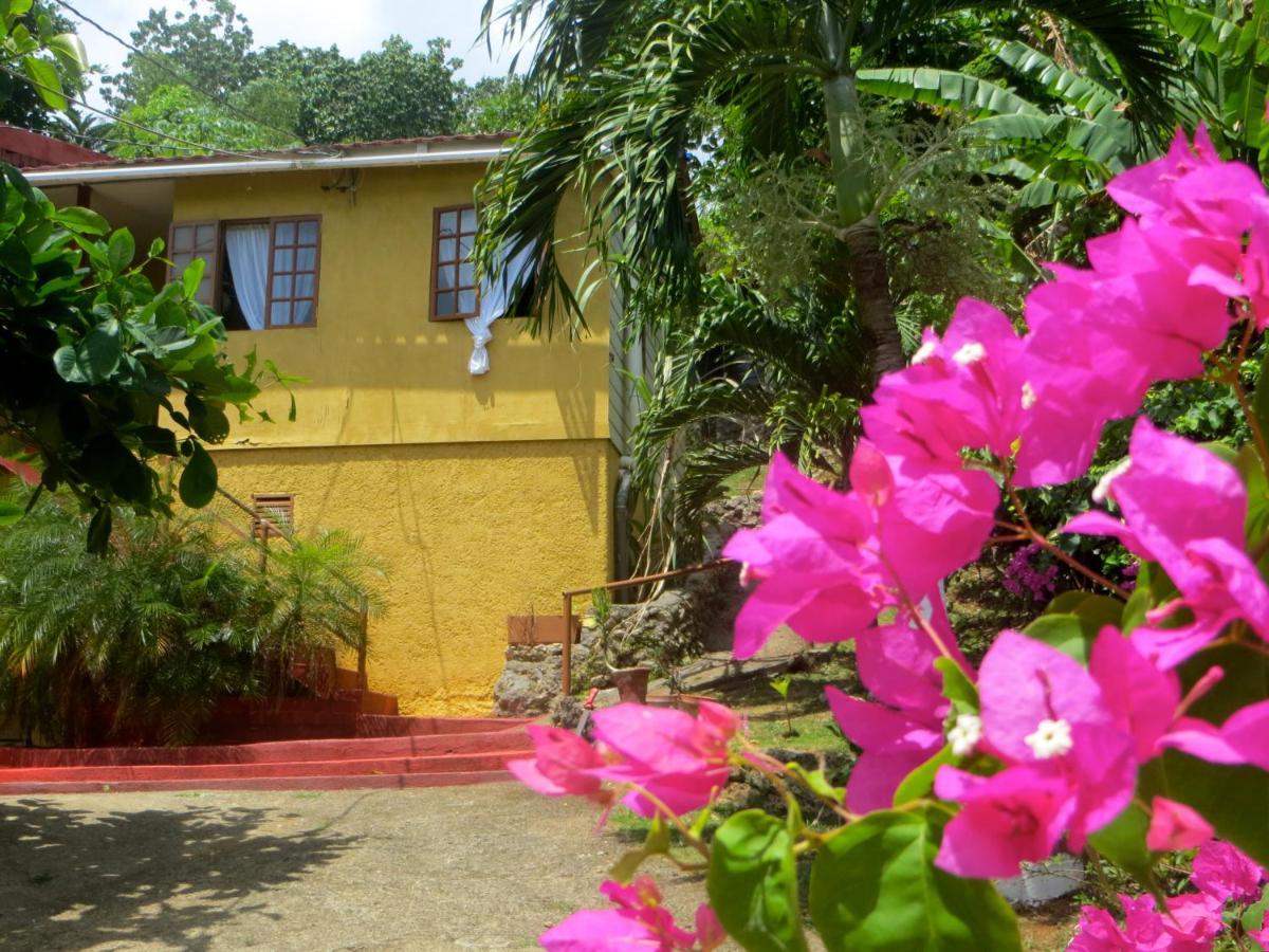 La Familia Guest House And Natural Farm Πορτ Αντόνιο Εξωτερικό φωτογραφία